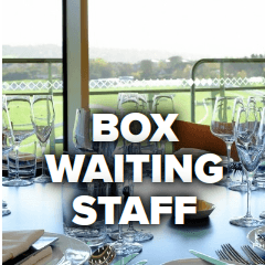 box-waiting-staff.png